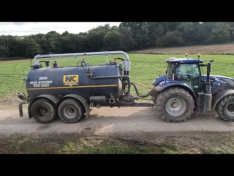 Видео: ВСЕ ЗНАМЕНИТЫЕ ИМЕНА | Копатели | Обработчики