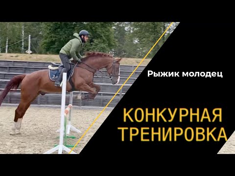 Видео: Конкурная тренировка. Рыжик молодец