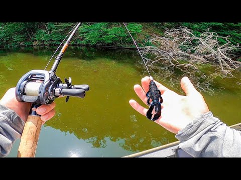 Видео: Поймать гигантского окуня на турнире по рыбной ловле на джонботах
