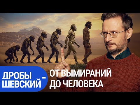 Видео: Загадки эволюции: вымирания, древние предки и происхождение человека