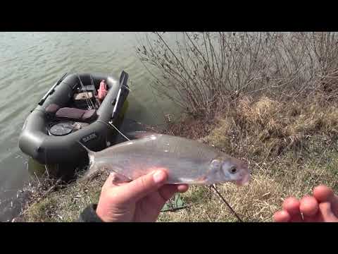 Видео: Що клює на Дністровському водосховищі?