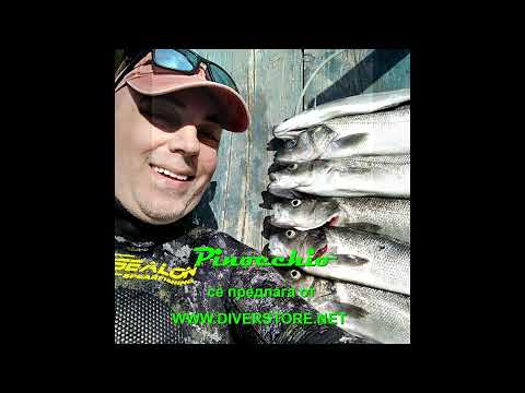 Видео: Подводен риболов: Шест лаврака за нула време!