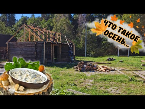 Видео: 🌾Деревенская Жизнь: начинаем с МАЛОГО, мечтаем о БОЛЬШОМ👌 ВЫПУСК 41