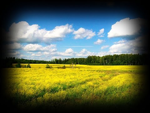 Видео: 006  Поселок Вача Нижегородской обл  через лобовое стекло