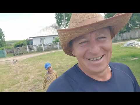 Видео: Огляд Персиків ранніх термінів дозрівання.