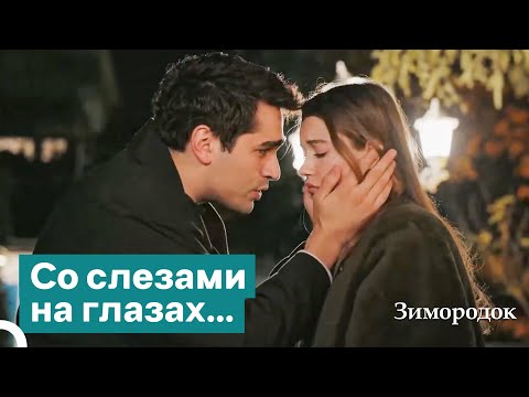 Видео: Когда придет время уходить, нужно уходить | Зимородок