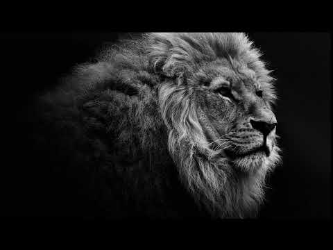 Видео: ОН ЛЕВ///Распятый///ПОКЛОНЕНИЕ