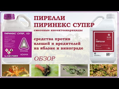 Видео: Пирелли и Пиринекс Супер - средства против гусениц и клещей на яблоне и винограде. Обзор инсектицида