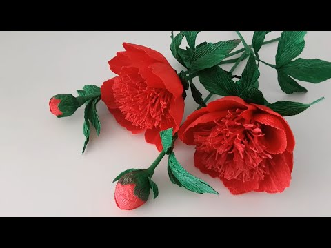 Видео: DIY - ПИОН КАК НАСТОЯЩИЙ / ИЗ ГОФРИРОВАННОЙ БУМАГИ...