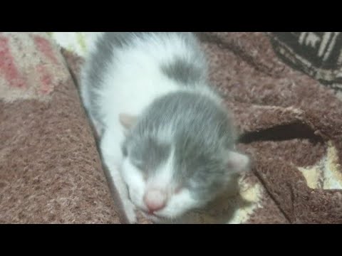 Видео: 2 часть который Саня 305 сделал на меня обзор @ankdshersanechek 