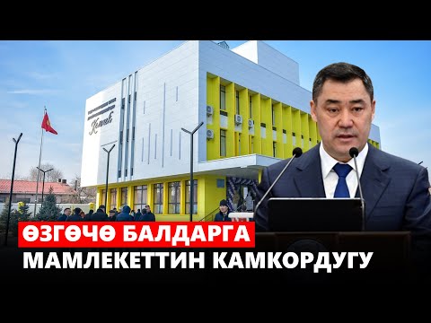 Видео: Өзгөчө балдарга мамлекеттин камкордугу