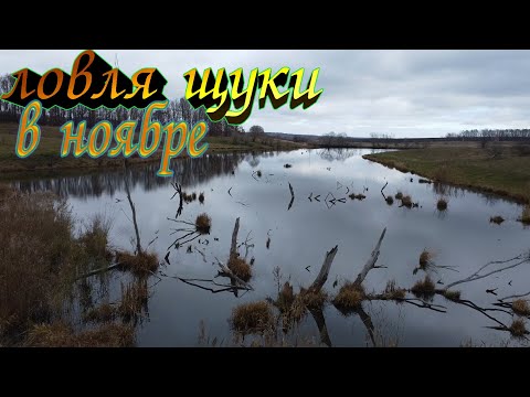 Видео: Ловля щуки на живца осенью! Рыбалка на спиннинг в ноябре! ХОРОШИЙ КЛЕВ! Переселение улова!!!