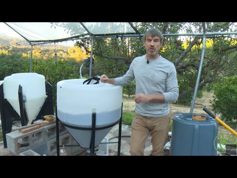 Видео: Разработка активно аэрируемого компостного чая (AACT) для выращивания каннабиса: д-р Дэвид Уайт /...