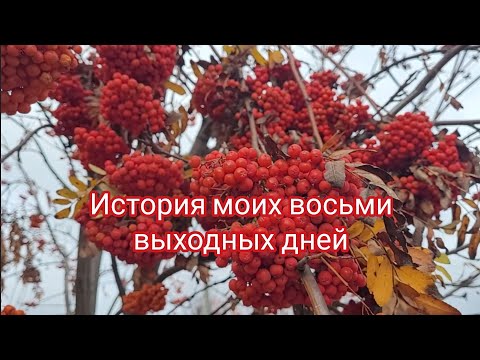 Видео: История моих восьми выходных дней ...
