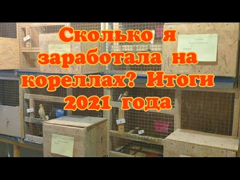 Видео: Заработок на попугаях. Сколько можно заработать на кореллах.