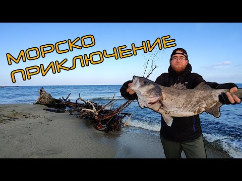 Видео: Трофеен ЛАВРАК! Морски риболов в Северна Гърция.