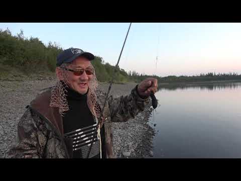Видео: ЭТА МЫШЬ КОСИТ НЕ ТОЛЬКО ТАЙМЕНЕЙ!!! БИЛЕЛОВ ДМИТРИЧ СНОВА В ДЕЛЕ!!! НОВЫЙ СИГОЛОВ и др.