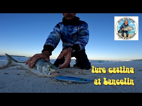 Видео: Заброс приманки на пляже Ланселин