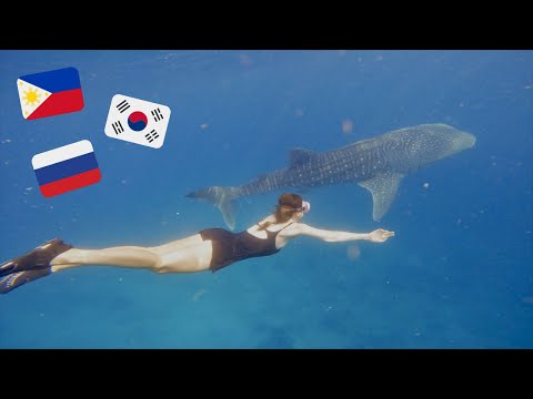 Видео: Из Кореи на Филиппины! День второй. Плаваем с акулами, сплавляемся. Катя и Кюдэ/Южная Корея/Пусан