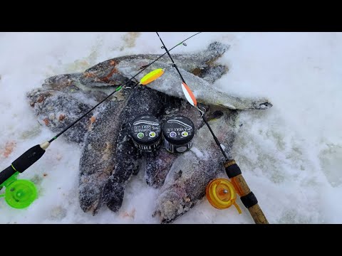 Видео: Зимний турнир по ловле форели на спиннинг. Рыбалка в Русском осетре.