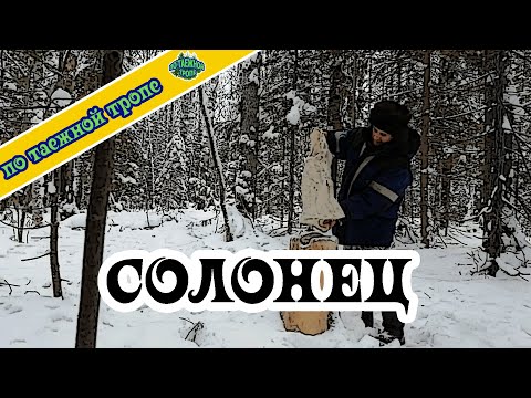 Видео: Жизнь в тайге. Строительство солонца.