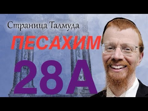Видео: Урок по Вавилонскому Талмуду. 28А