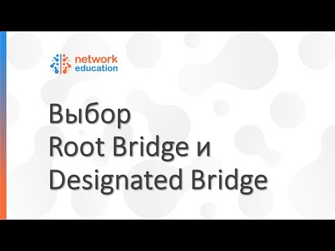 Видео: Протокол STP - выбор Root Bridge и Designated Bridge