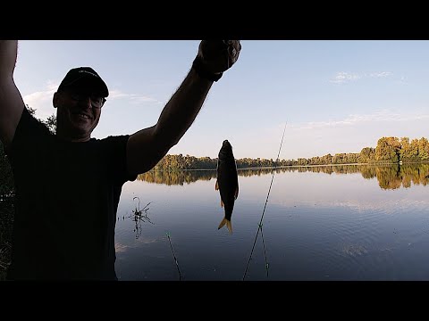 Видео: Рыбалка на два фидера. Тестирую обычную кормушку и флэт.