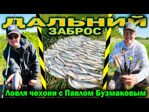 Видео: Ловля чехони на дальний заброс с Павлом Бузмаковым.