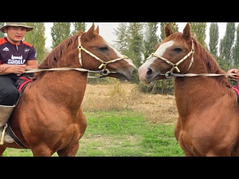 Видео: По Кличке Лидер✊️