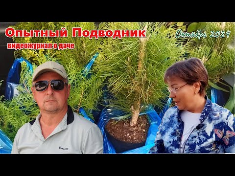 Видео: Ежемесячный видеожурнал о даче ОПЫТНЫЙ ПОДВОДНИК      ОКТЯБРЬ 2024    #ArtDon_OP, #строительство