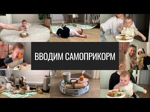 Видео: ВЛОГ. Эрику 6 Месяцев. Вводим Самоприкорм. Плюсы и Минусы Самоприкорма.