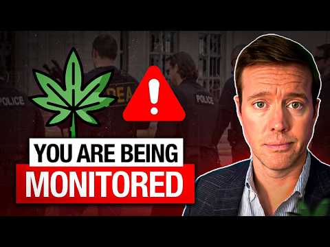 Видео: Борьба DEA с THCA: что это значит для потребителей и бизнеса