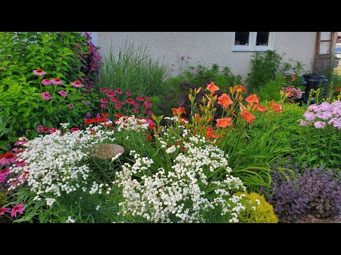 Видео: Экскурсия по садам в середине июля, Миннесота, зона 5a