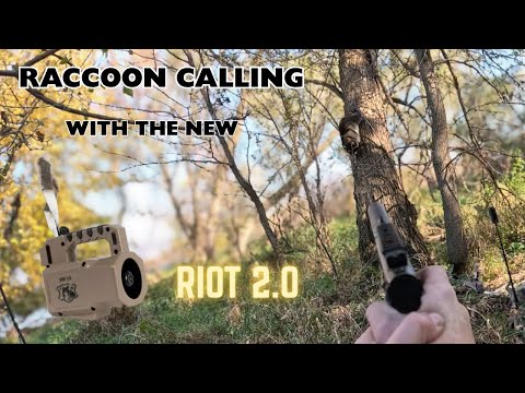 Видео: Raccoon Calling: Безумная охота с новым зовом!!!🦝🦝🦝