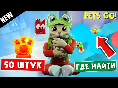 Видео: 50 РЕЛИКВИЙ в ПЕТС ГО роблокс | PETS GO roblox | Где найти все лапки. Все локации (места)