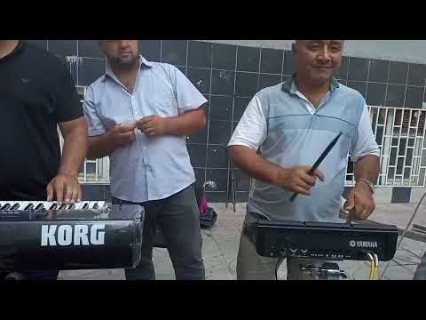 Видео: Навои рудаки бобои гафор#music #live