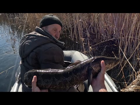 Видео: Дикое место в Дельте Реки ИЛИ. 2 Часть. Вобла прёт !!! Дуплет за Дуплетом.