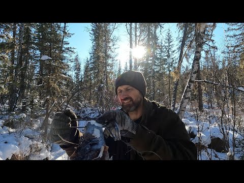 Видео: УСТАНОВКА И ПРОВЕРКА КАПКАНОВ НА СОБОЛЯ. ЧЕТЫРЕ ДНЯ В ТАЙГЕ. ТАЁЖНЫЙ БЫТ И КУХНЯ.