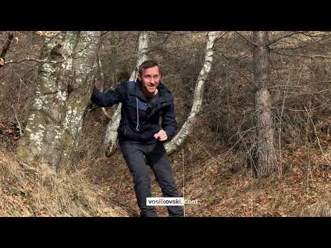 Видео: Къде живеят единствените алпийски козирози в България