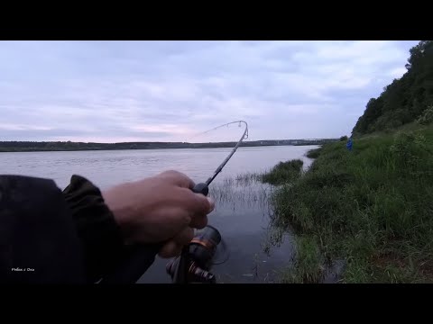 Видео: С этой снастью всегда с рыбой! Рыбалка на Оке, Микроджиг!