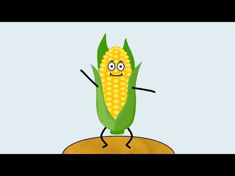 Видео: Математика 3 клас  Скворцова  Вивчаємо ділення на двоцифрове число с 115 116