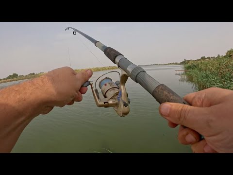 Видео: Наловил и съел. Рыбалка на карася. Жареный карась.