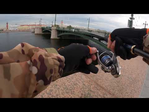 Видео: Рыбалка в Санкт-Петербурге. Спиннинг, Нева и раздача окуня. #fishing #nature #travel