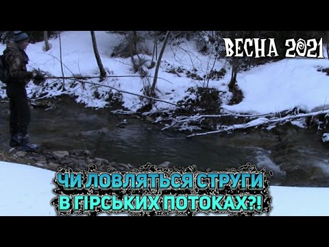 Видео: ЧИ ЛОВИТЬСЯ НА ВЕСНІ РІЧКОВА #ФОРЕЛЬ, В ПОТОКАХ?! / #КАРПАТИ 2021 / #СТРУГ