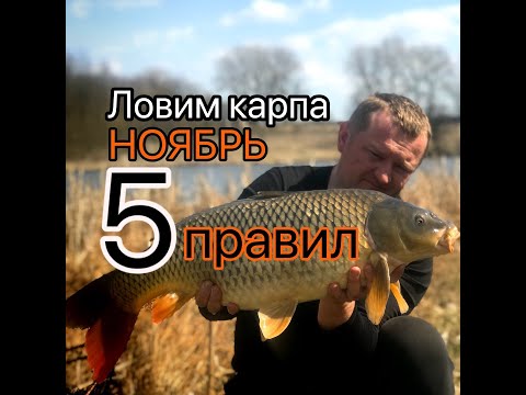 Видео: 5 правил ловли карпа в ноябре.