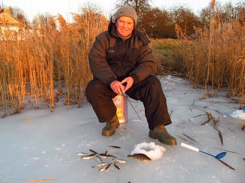 Видео: Плотва на гвоздекубик  Мой первый опыт