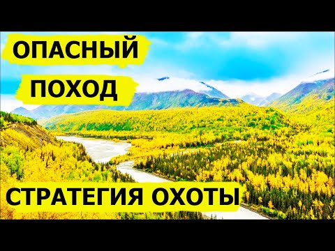 Видео: Стратегия охоты. Опасный поход. В борьбе за выживание/Dropped (Охотник и рыболов)