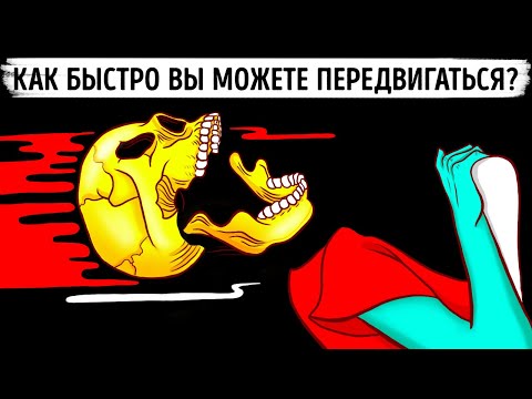 Видео: Какую максимальную скорость может развить человек и остаться в живых?