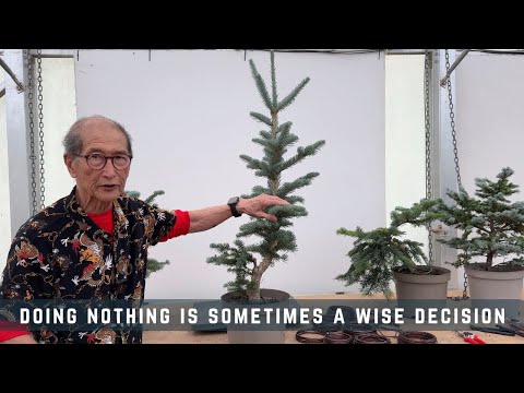 Видео: Иногда ничегонеделание — мудрое решение